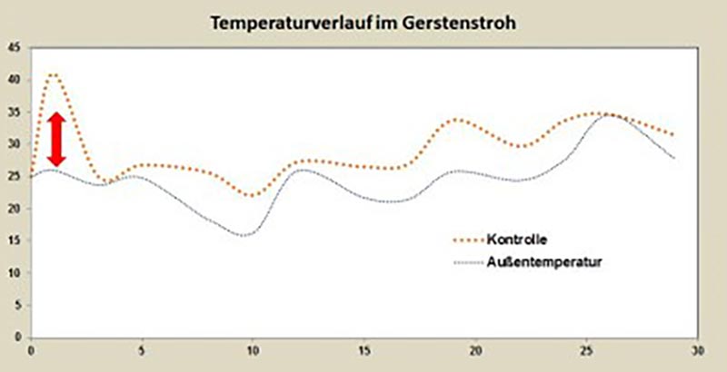 Temperaturverlauf 1