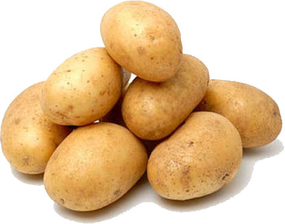 Kartoffeldampfschalen